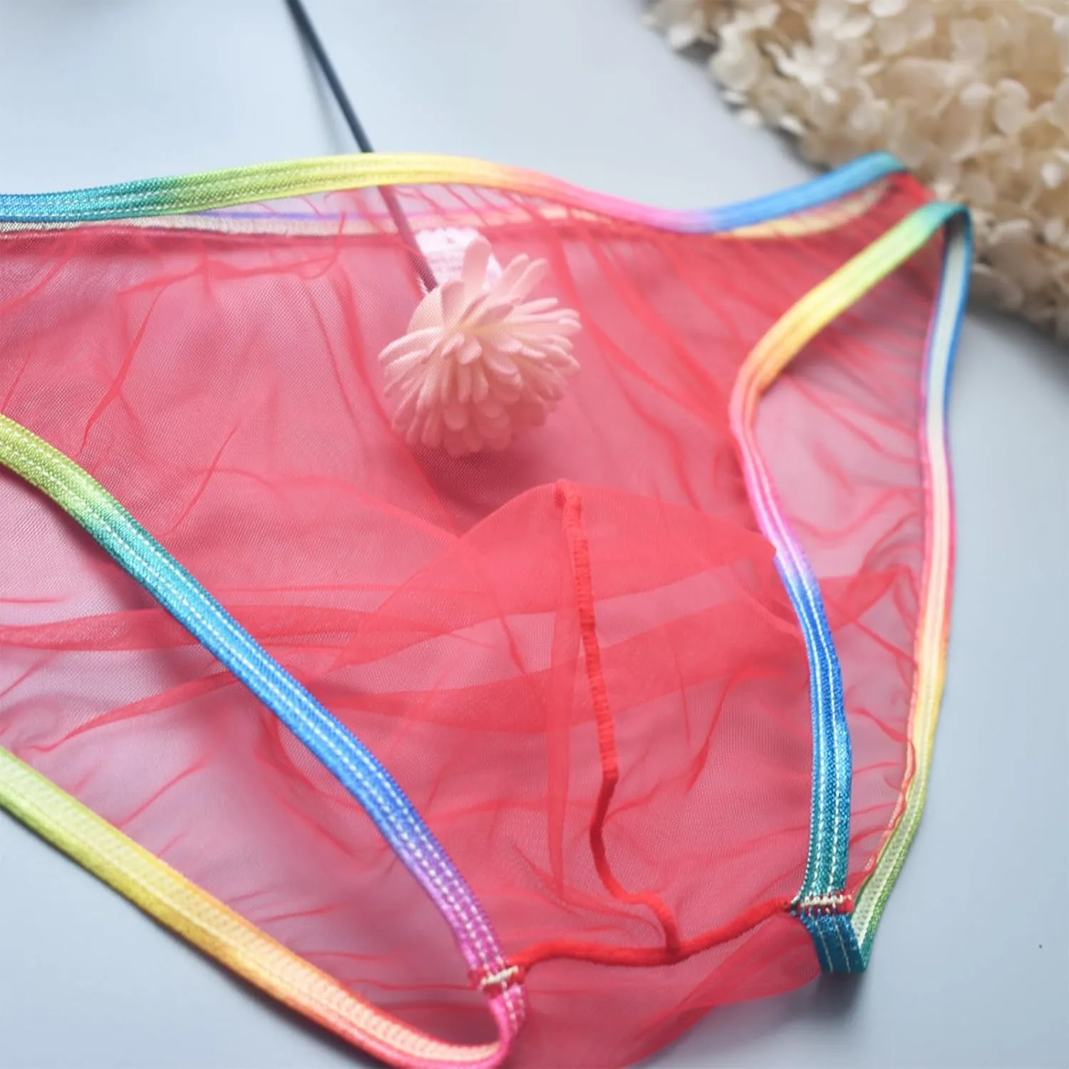 Sexy Men's Brief Mesh See Through Low Rise Underwear U Shaped Pouch Fun Underwear Comfort Breathable Lingeries Panties