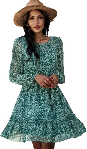 Women's Casual Floral Printed Ruffle Dress Waist Tie Roundneck Long Sleeve A Line Mini Dress